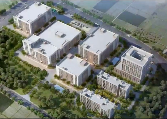 Qingdao Meilianjia International Trade Co., Ltd factory production line