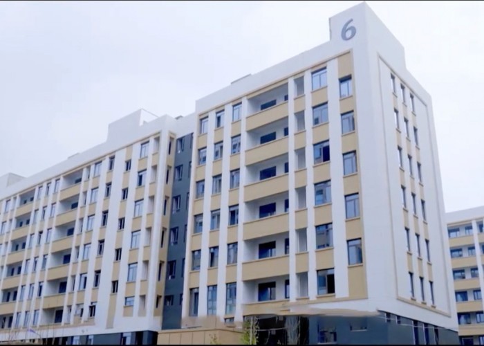 Qingdao Meilianjia International Trade Co., Ltd factory production line