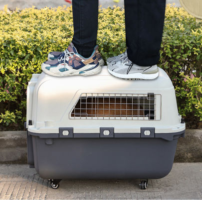 Button Closure Portable Pet Bag Large Capacity Cats Cage for Travel Products