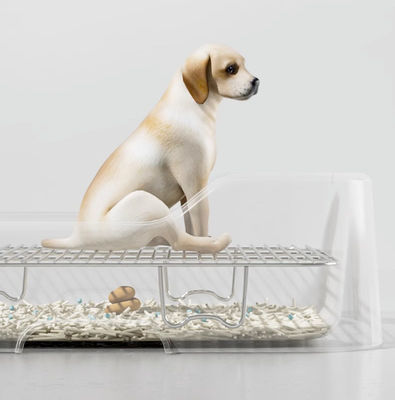 Convenient Indoor Dog Potty Tray No Leak Spill Protection Wall and Easy Clean Design
