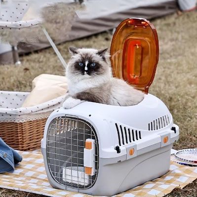 Car Travel Accessories Approved Pet Transport Cages for Small/Medium Puppies and Cats