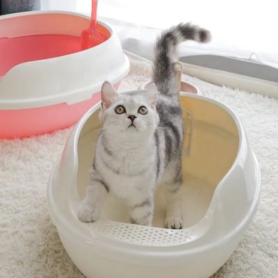 High Side PP Plastic Cat Toilet Large Anti-splash Open Top Cat Litter Box for Indoor