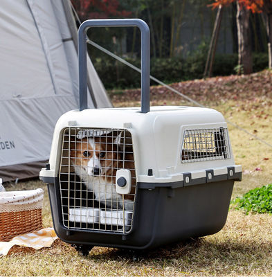 Pet Air Transport Box for Small Dogs and Cats Sustainable Hard Surface Travel Carrier