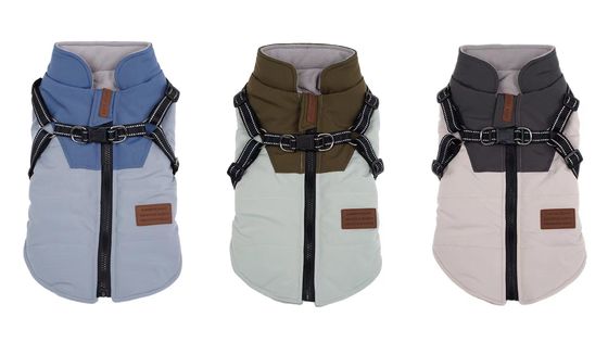 Customization Service Provided Pet Dog Vest for Warm And Thick Autumn And Winter Bear