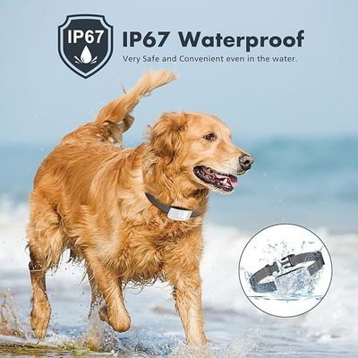 7 Adjustable Sensitivity Rechargeable Bark Control Collar Waterproof and Programmable