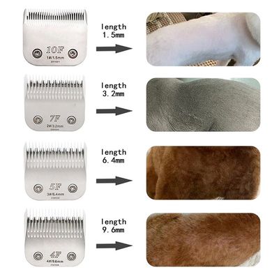 Clean Function Heavy Duty Dog Hair Clippers with Customized Logo LED Display Included