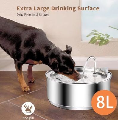 Automatic Pet Water Fountain Stainless Steel Drinking Dispenser for Multiple Cats and Dogs