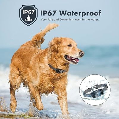 Aluminium-Plastic No Bark Control Collar with Vibration and Color Screen Waterproof