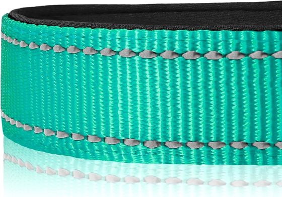 Medium-Sized Canines Custom Logo Reflective Dog Collar with Soft Neoprene Padding
