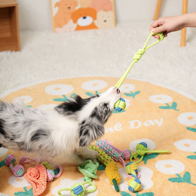 Customization Service Provided Durable Braided Cotton Pet Chew Rope Toys for Puppies