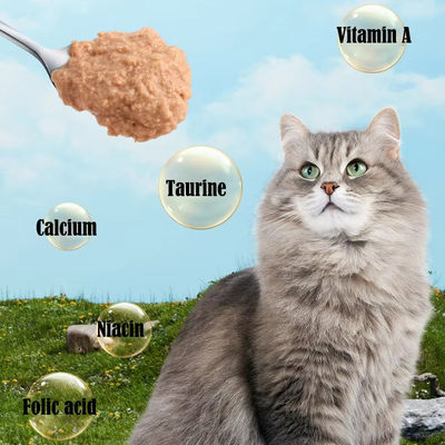 Pet Cat Wet Food Professional OEM Cat Food Lunch Box for Medium Breeds at Special Diet
