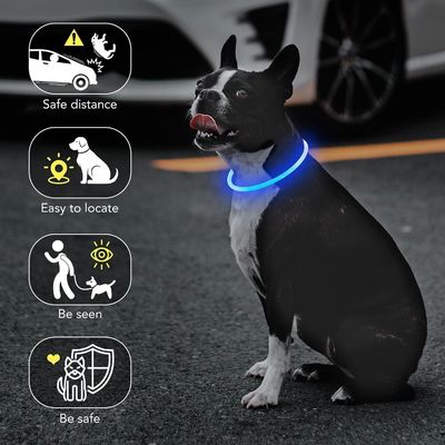 LED Glow Dog Collar with Customized Logo USB Rechargeable Waterproof 3 Flashing Modes