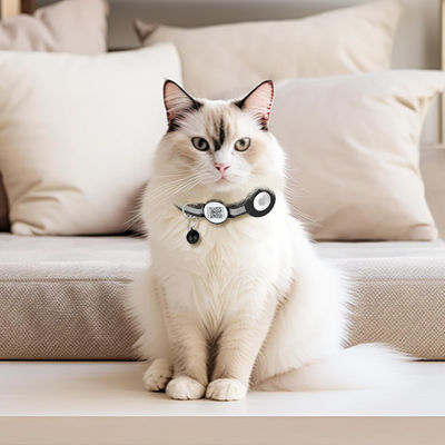 Adjustable Belt Airtag Case Cat Collar with Reflective Nylon and Safety Breakaways Buckle