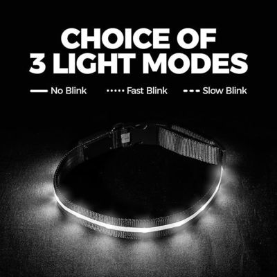 USB Rechargeable Lighted Dog Collar Band with Color Changeable Pet Collars