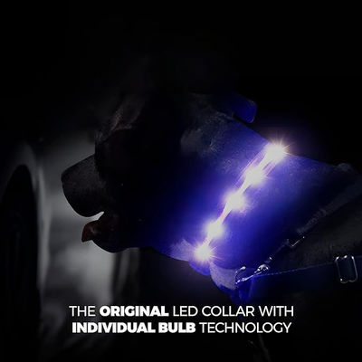 USB Rechargeable Lighted Dog Collar Band with Color Changeable Pet Collars