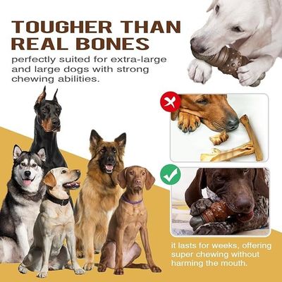 Non Toxic Environmental Friendly Pet Supplies Squeaky Bone Dog Toy for Indoor Outdoor