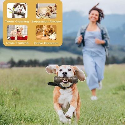 Non Toxic Environmental Friendly Pet Supplies Squeaky Bone Dog Toy for Indoor Outdoor