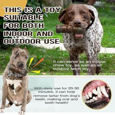 Non Toxic Environmental Friendly Pet Supplies Squeaky Bone Dog Toy for Indoor Outdoor