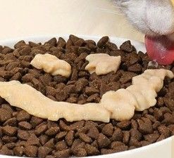 Advantageous High Protein Cat Stick for Medium Breeds Fresh Meat 2024 Pet Treats