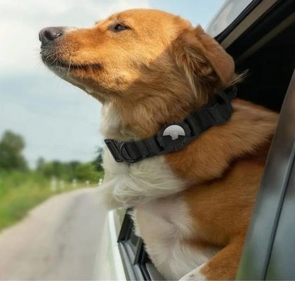 Reflective Nylon Dog Collar Adjustable GPS Training Collar with Airtag Holder Set