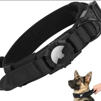 Nylon Dog Training Collar for Running Walking Hiking Airtag Tracker Protective Case Now