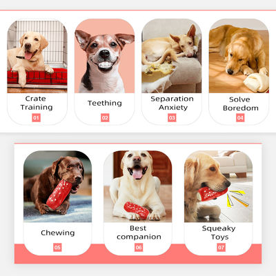 Squeaky Pet Dog Chew Toys Tough and Durable for Aggressive Chewers Fashionable Style