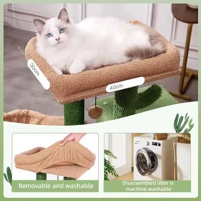 Cat Scratching House Toy Small Green Cat Tree Cactus Kitten Scratcher for Indoor Cats