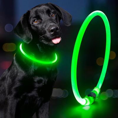 USB Rechargeable Waterproof Dog Collar for Night Walking and Training Solid Pattern
