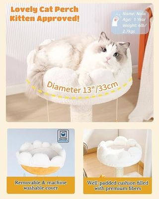 Plush Perch Cute Cat Tree White Cloud Cat Tower For Small Cats And Animals