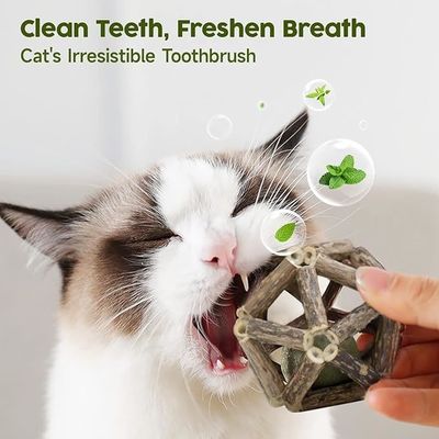 Customized Logo Acceptable Catnip Ball Pet Cat Toy for Interactive Play and Exercise