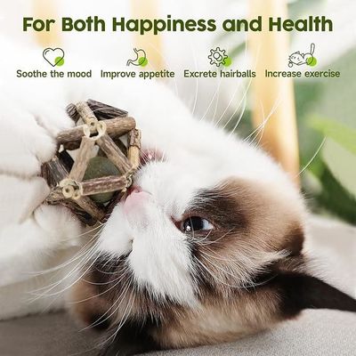 Sustainable Natural Silvervine Sticks Interactive Cat Chew Toy for Fun and Teeth Cleaning