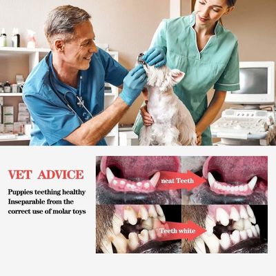 Non Toxic Environmental Friendly Squeaky Pet Dog Interactive Chew Toy for Cleaning Tooth