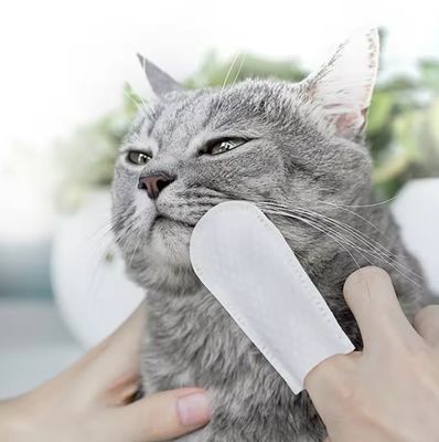 Convenient and Gentle Clean-up Custom Logo PET Teeth Wipes with Natural Ingredients