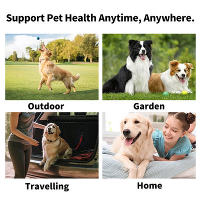 Convenient and Gentle Clean-up Custom Logo PET Teeth Wipes with Natural Ingredients
