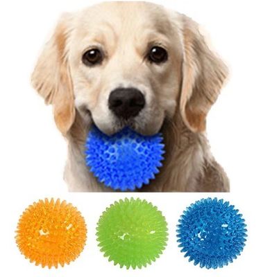 Non Toxic Environmental Friendly Dog Toys TPR dog Chew Toy Balls for Cleaning Tooth