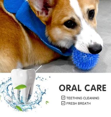 Non Toxic Environmental Friendly Dog Toys TPR dog Chew Toy Balls for Cleaning Tooth