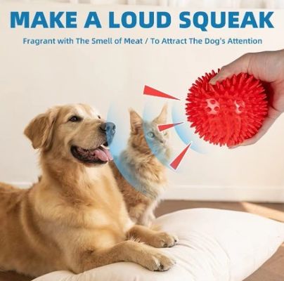 Customization Service Provided TPR Squeaky Spikey Ball Dog Chew Toy for Tooth Cleaning