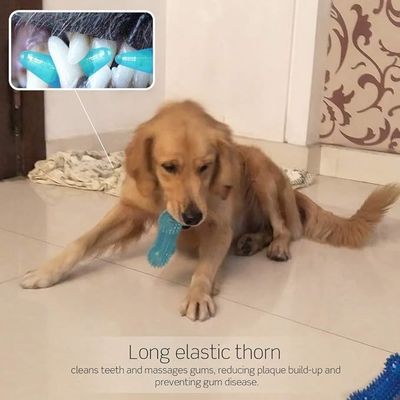 TPR Dog Bone Toy Durable Chew Toy for Aggressive Chewers Teeth Cleaning and Training