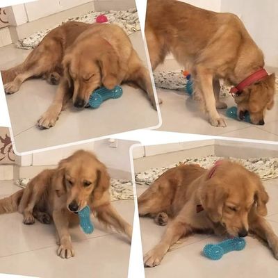 Customizable TPR Bone Shape Pet Toy for Aggressive Chewers Non-toxic and Durable
