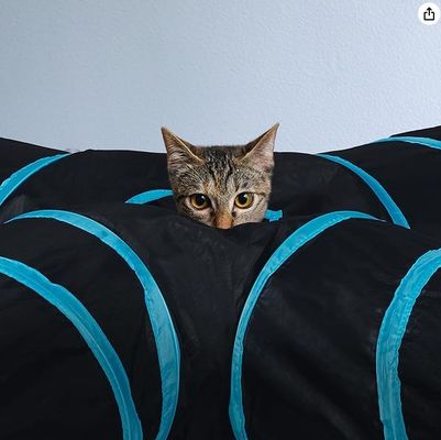 Customization Service Provided 4 Way Cat Tunnel Bed Pop-up Collapsible Pet Tube Toy