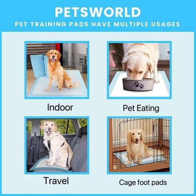 56*56cm Small Animals Pet Training Pad with Leak-proof Disposable Toilet Mat Diaper