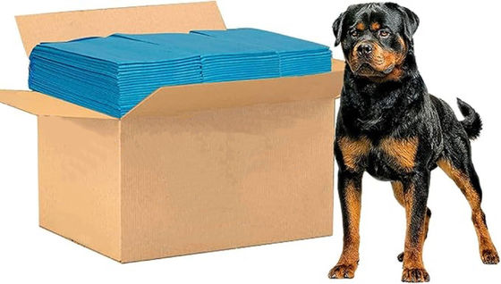 56*56cm Small Animals Pet Training Pad with Leak-proof Disposable Toilet Mat Diaper