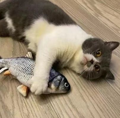 Catnip Plush Electric Moving Fish Cat Toy for Sustainable and Interactive Playtime