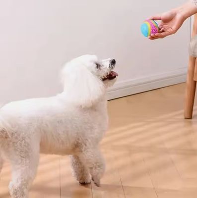 Non Toxic Environmental Friendly Squeaky Dog Ball Interactive Durable Bouncy Chew Toy