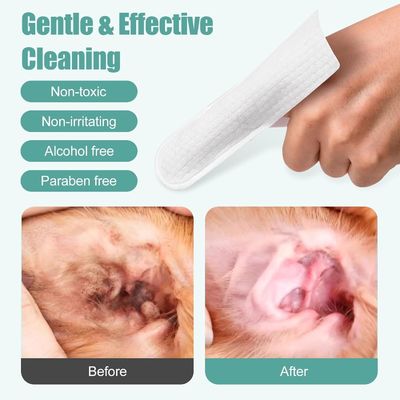 White or Customized Pet Wet Wipes for Convenient Multipurpose Water Bath and Eye Care