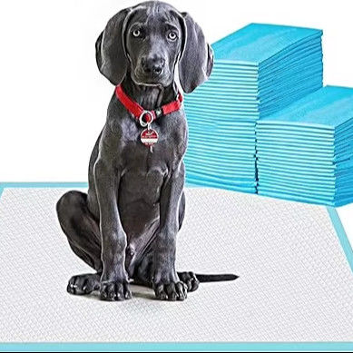 Healthy Style Waterproof Puppy Diaper for Small Animals Training Disposable Potty Pad
