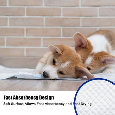 Disposable Impervious Puppy Pads Quick-drying Urine Absorption  56*56cm