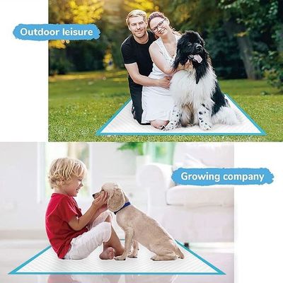 Disposable Impervious Puppy Pads Quick-drying Urine Absorption  56*56cm