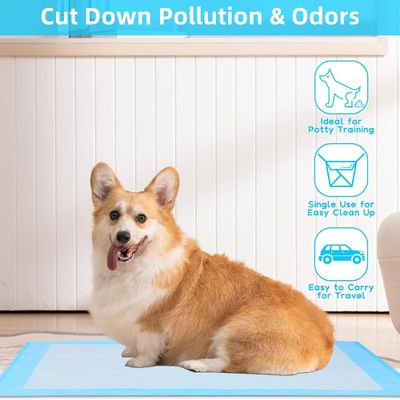 Everyday Disposable Pet Pads Large Size Dog Mat for Leak-Proof Protection and Training