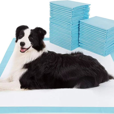 100 Pack Breathable Disposable Pet Pads with Absorbent and Leak-Proof